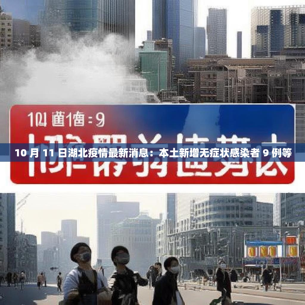 10 月 11 日湖北疫情最新消息：本土新增無(wú)癥狀感染者 9 例等