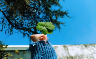 文化場(chǎng)所疫情常態(tài)化防控通知：開(kāi)放要求、責(zé)任落實(shí)及相關(guān)事項(xiàng)