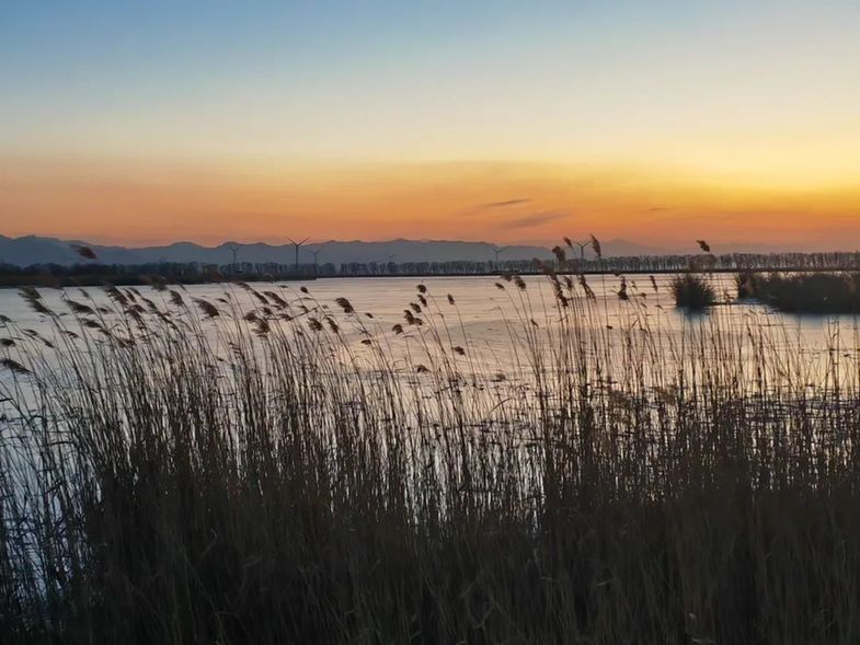 疫情防控策略轉(zhuǎn)變后，這些代價(jià)你知道嗎？最新消息來(lái)了