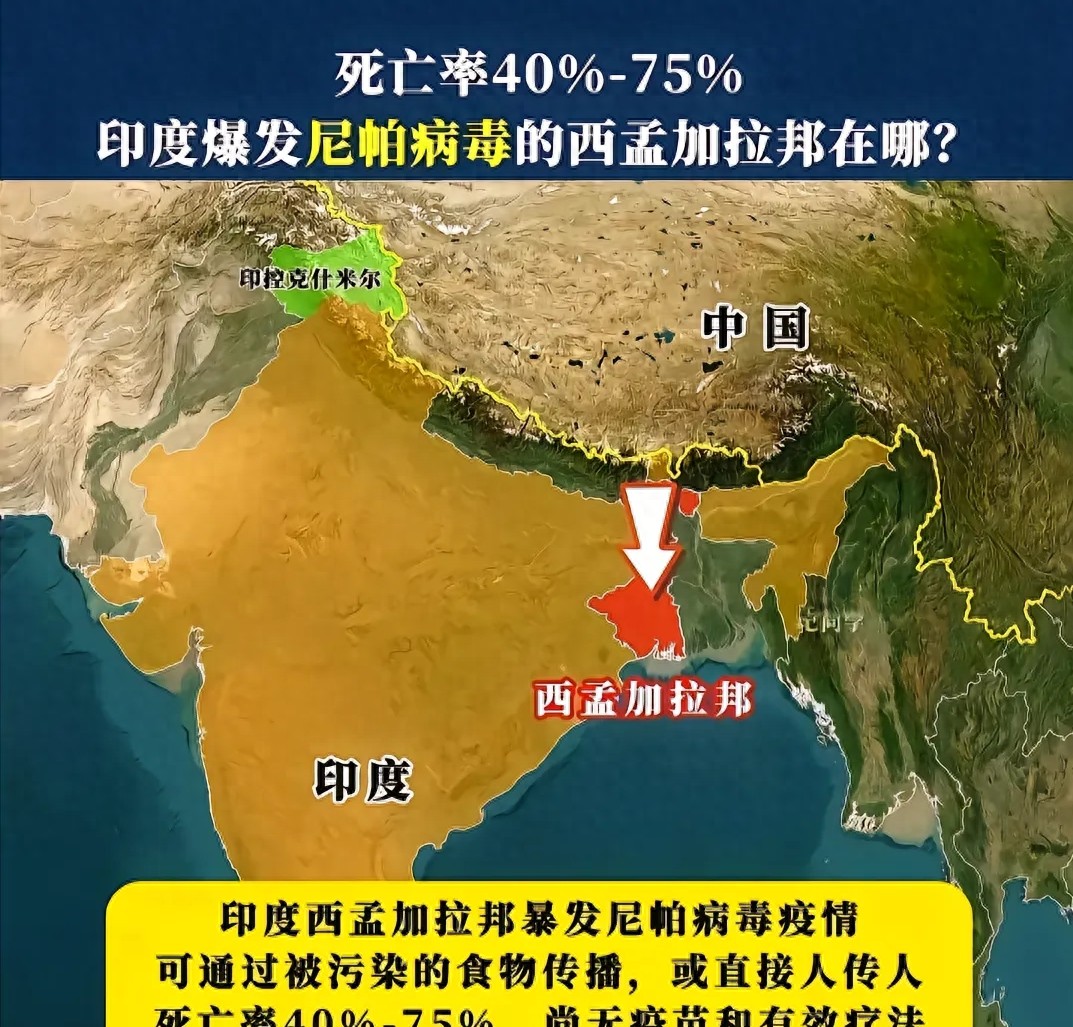 印度疫情形勢嚴峻，變異快、接種率低，防控面臨諸多挑戰(zhàn)