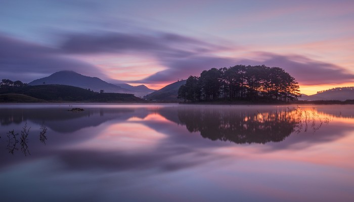 美國疫情政策最新消息及中國放寬入境限制相關(guān)情況