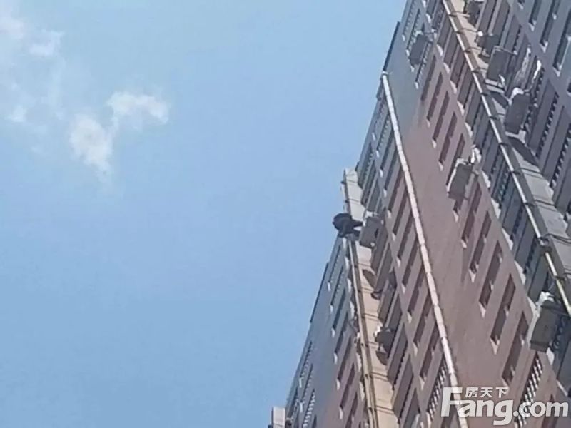 肺炎疫情對武漢房價(jià)有何影響?疫情趨勢與房價(jià)走向分析