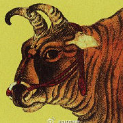 美國(guó)疫情數(shù)據(jù)為何讓人看不懂？官方數(shù)據(jù)滯后成謎