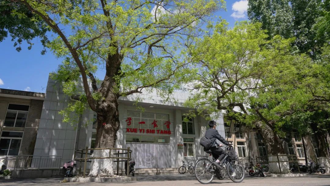 北大求學(xué)記：從渴望大饃到夢想成真，學(xué)一食堂的難忘時(shí)光